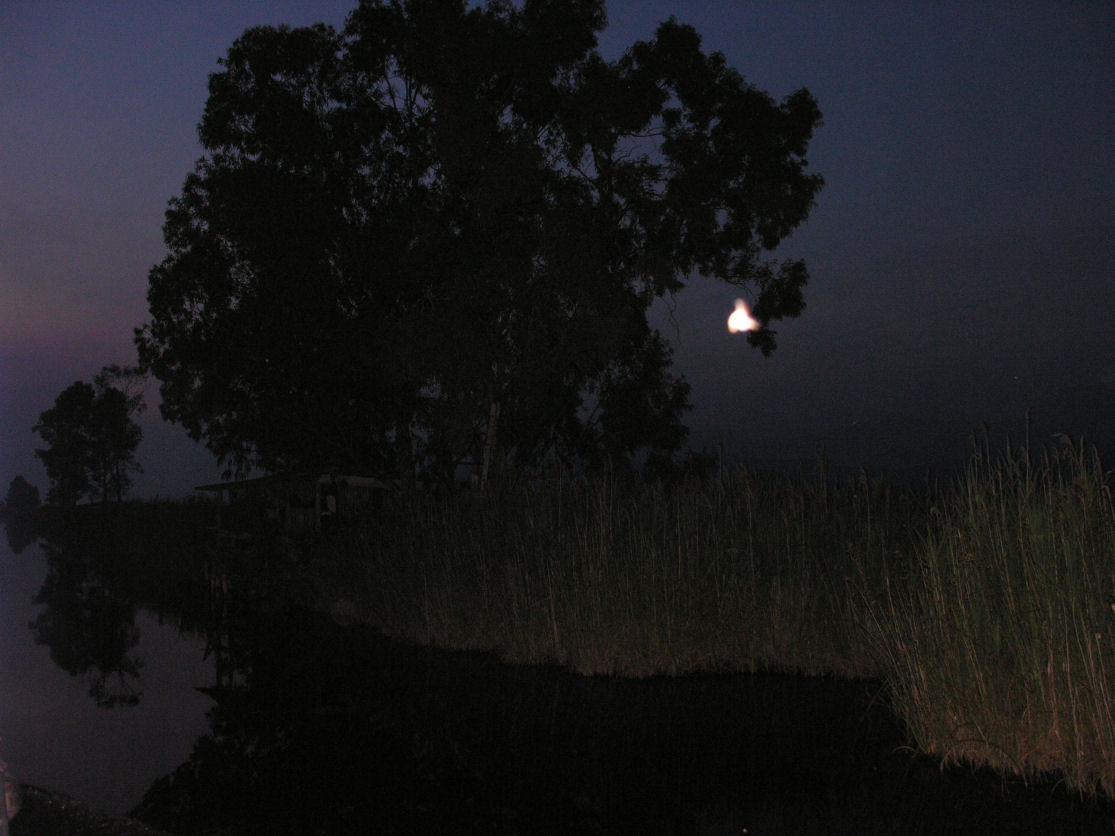 Tramonti sul lago di Massaciuccoli